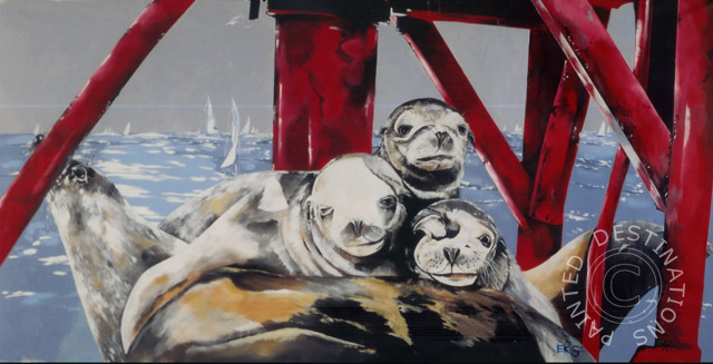 Seals Outside newport Harbor